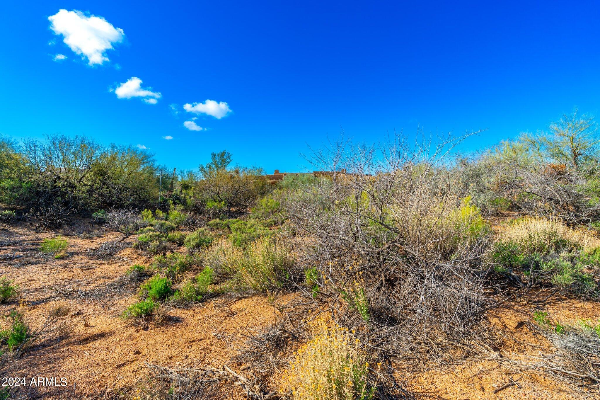 41504 N 109TH Place, 28