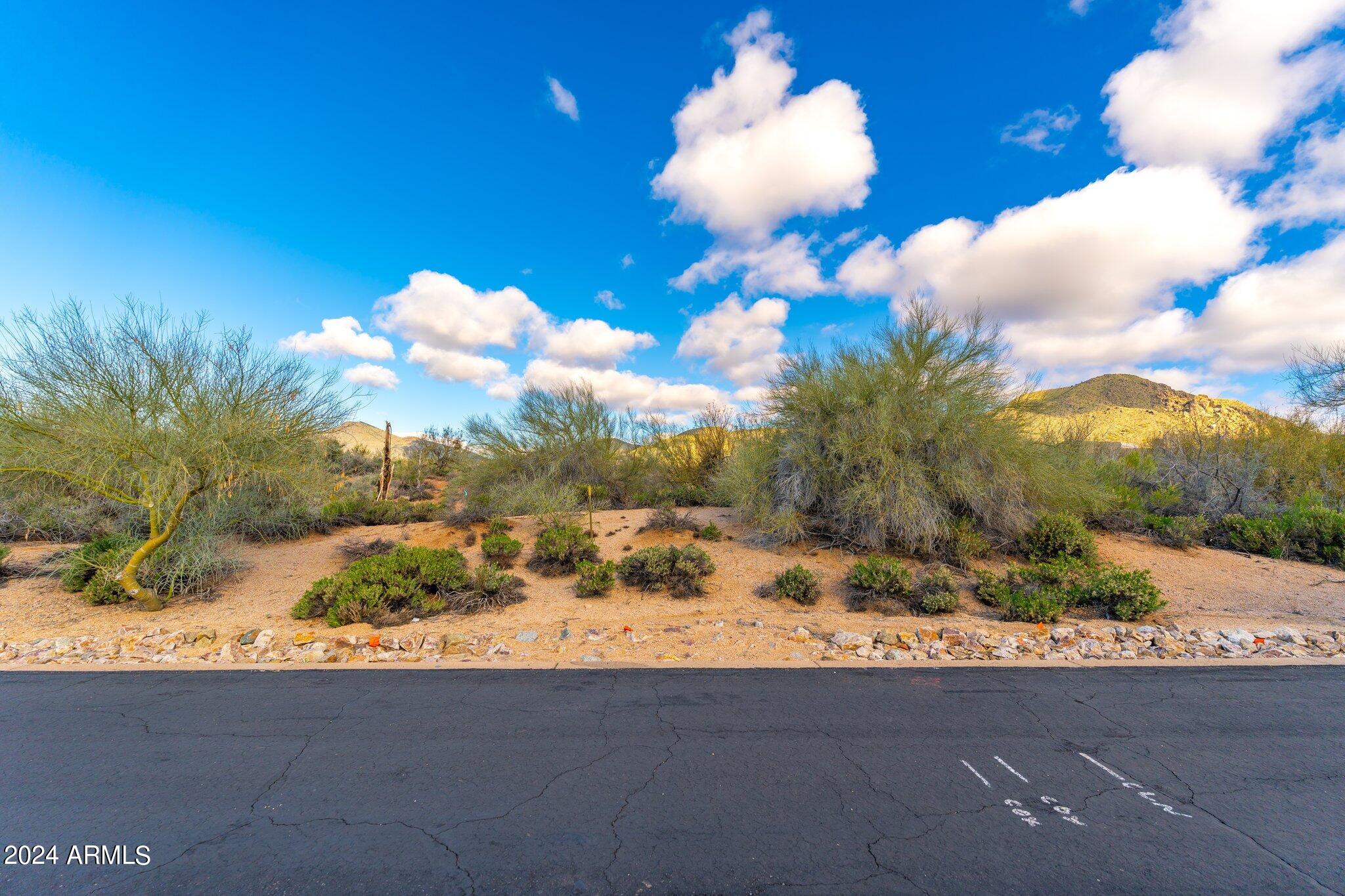 41504 N 109TH Place, 28