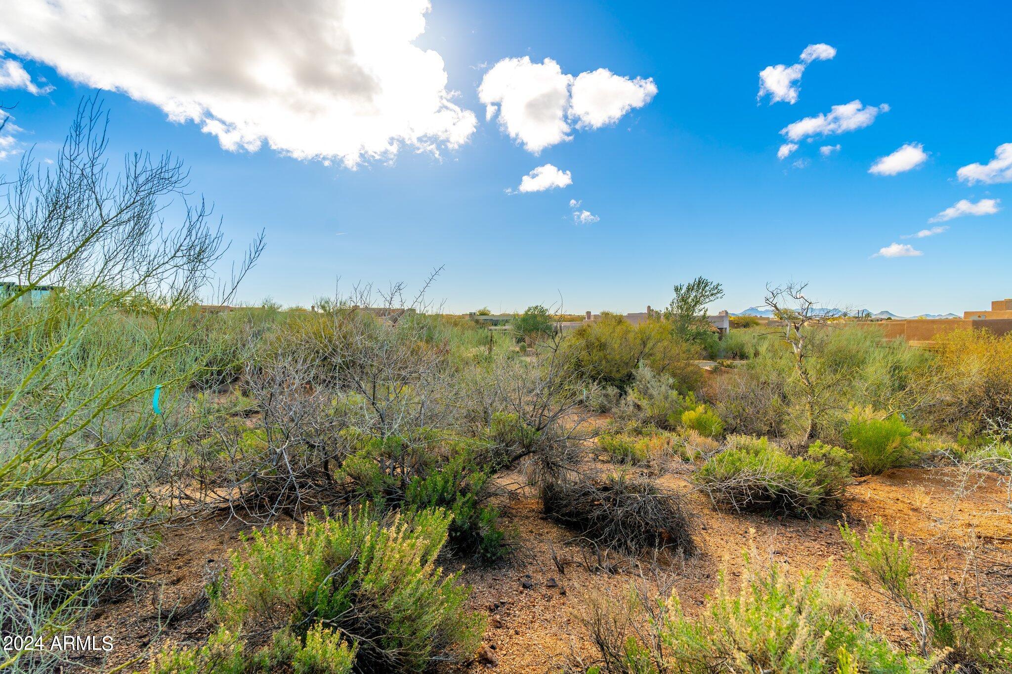 41504 N 109TH Place, 28