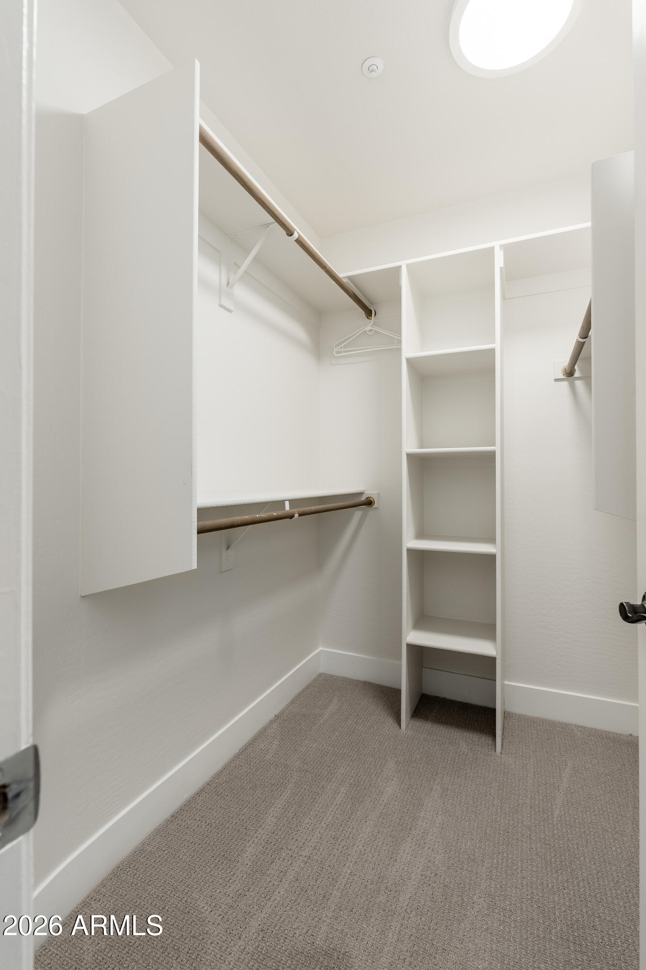 Walk-in closet with built-in shelving, hanging rods, and a carpeted floor.