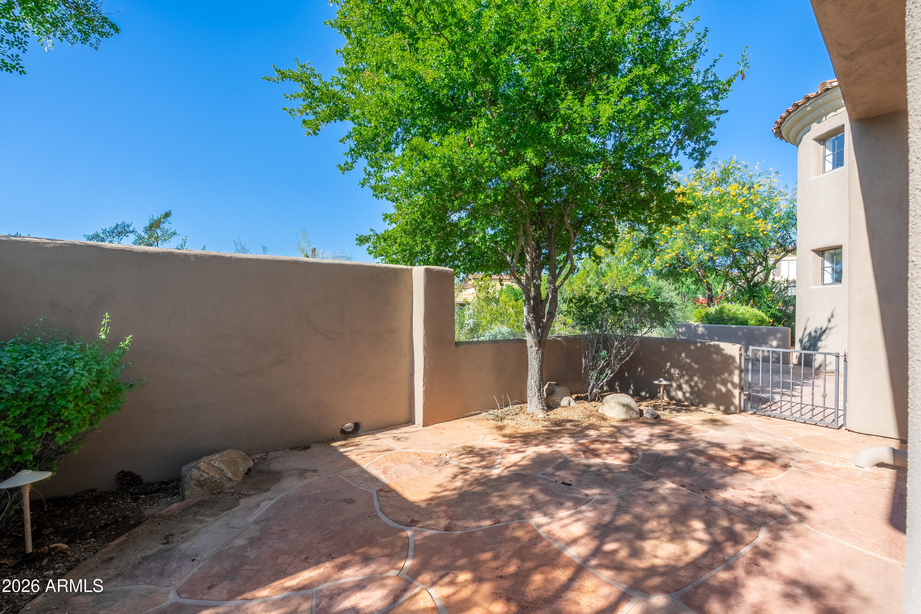 Private paved courtyard patio with a large shade tree, stucco walls, and a metal gate.