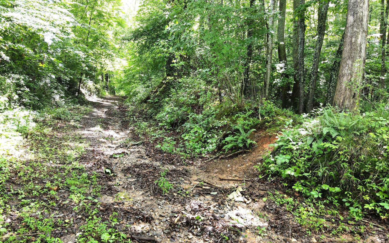 54 Ox Bow Lane