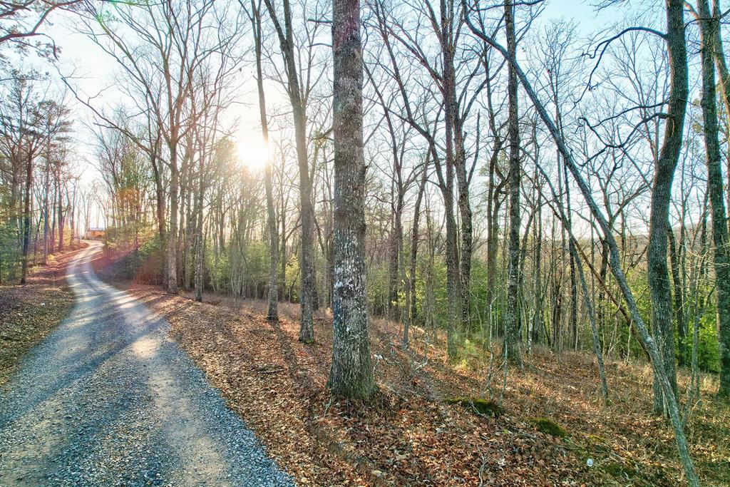 LOT 1 Salem Ridge