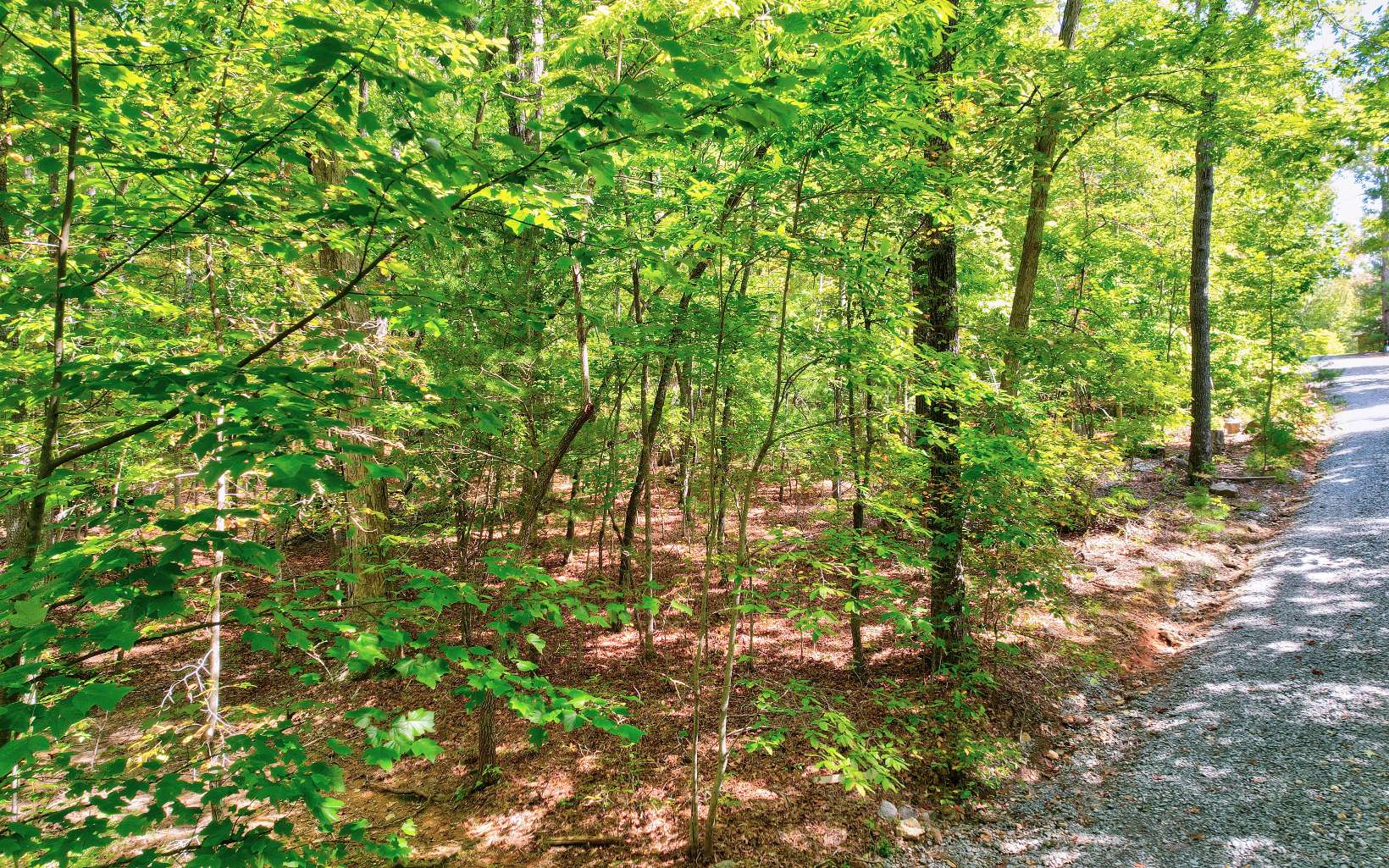 LOT 5 Garren Cove Trail