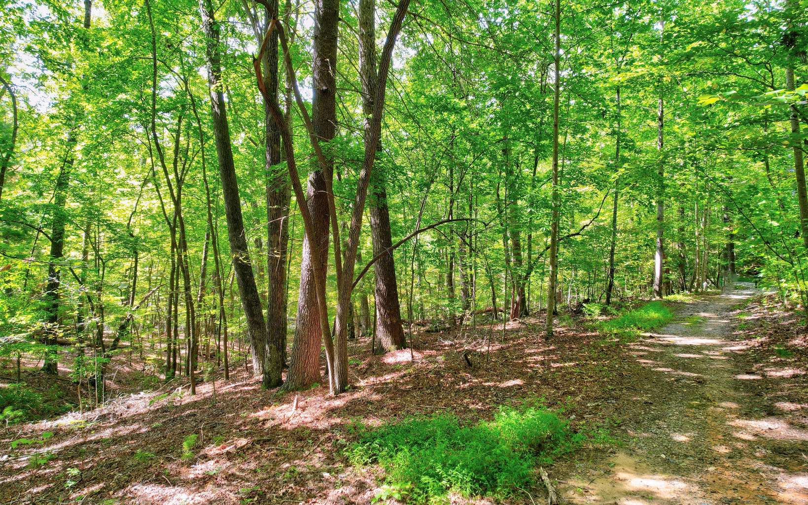 LOT 5 Garren Cove Trail