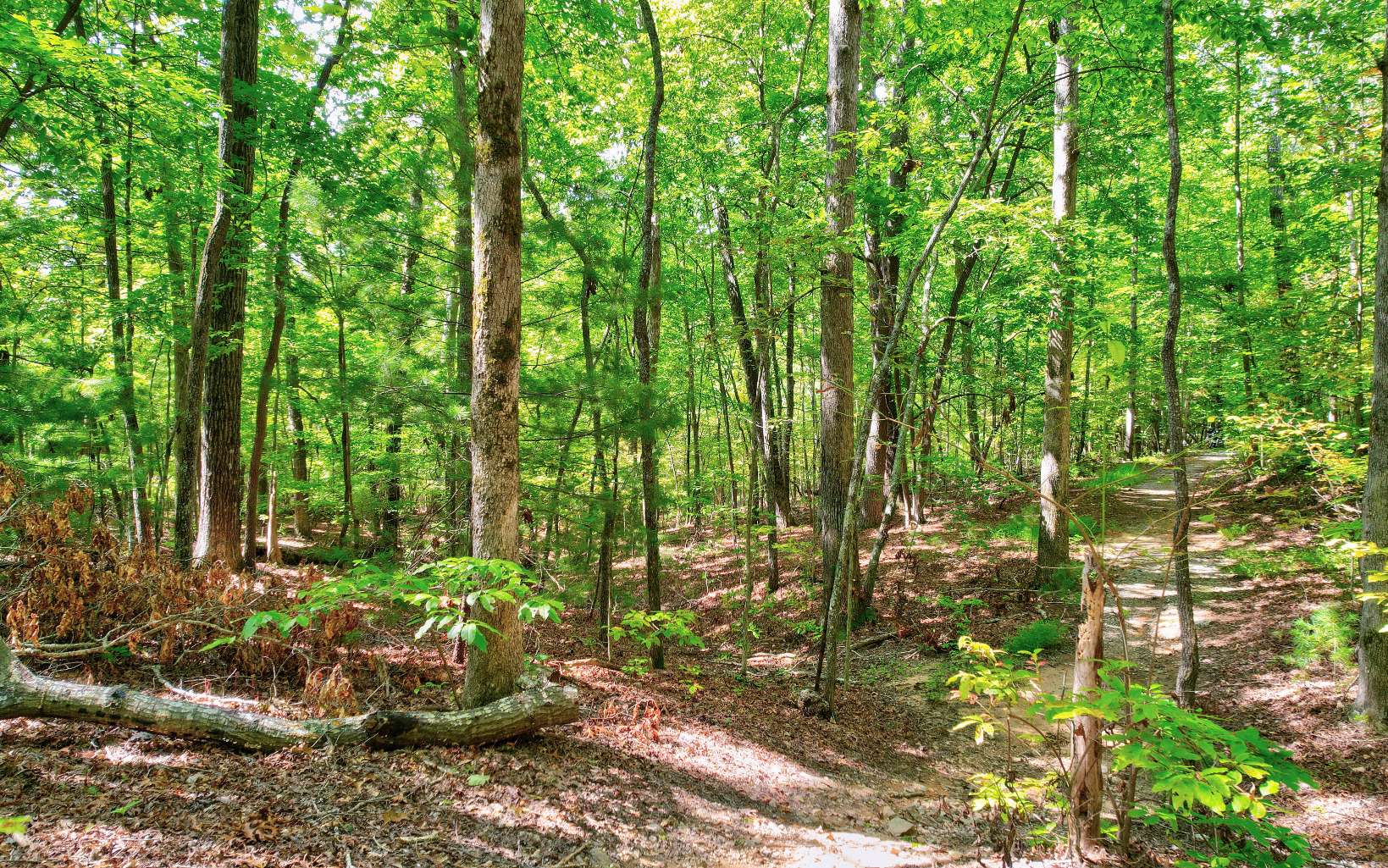 LOT 5 Garren Cove Trail