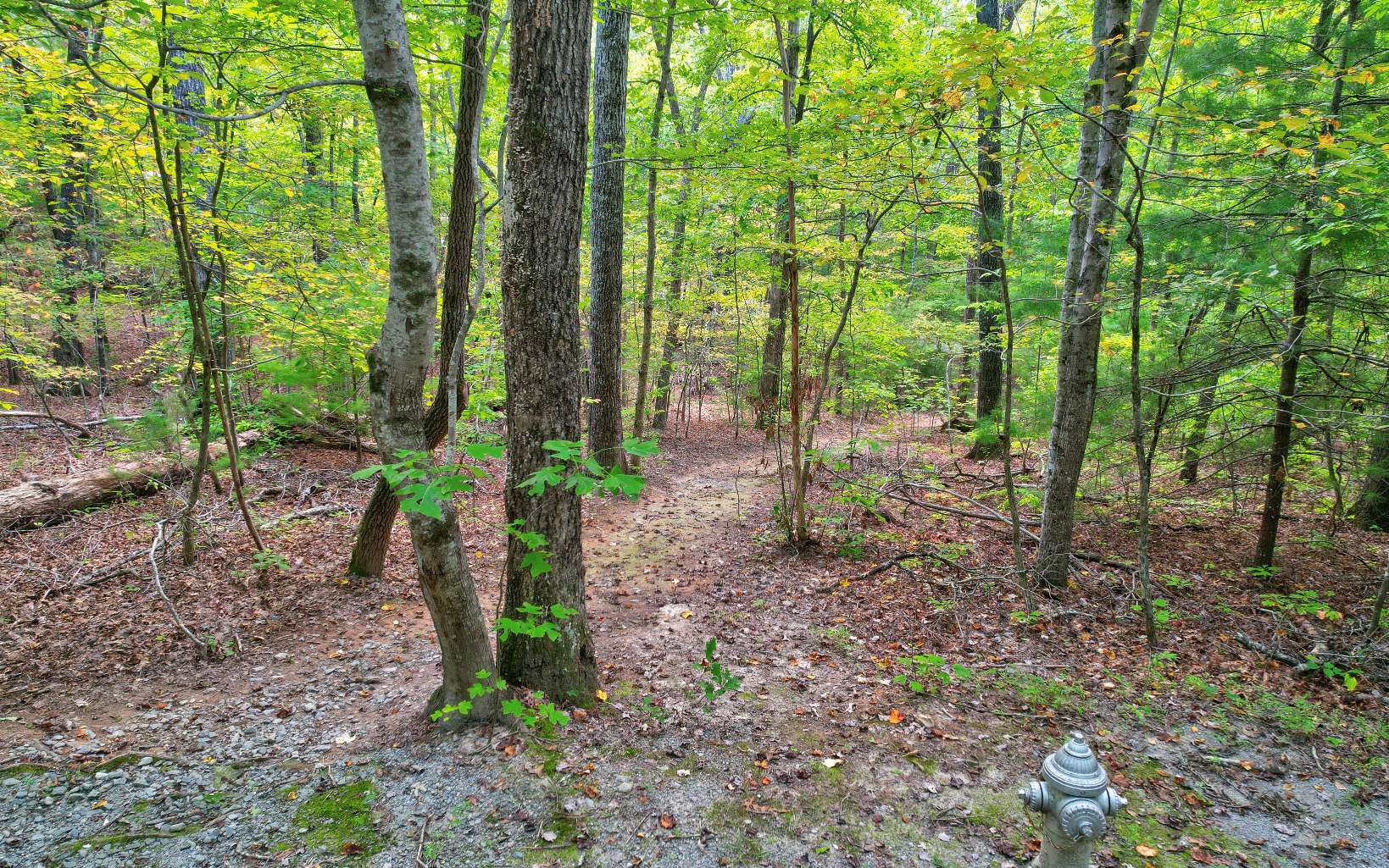 LOT 5 Garren Cove Trail