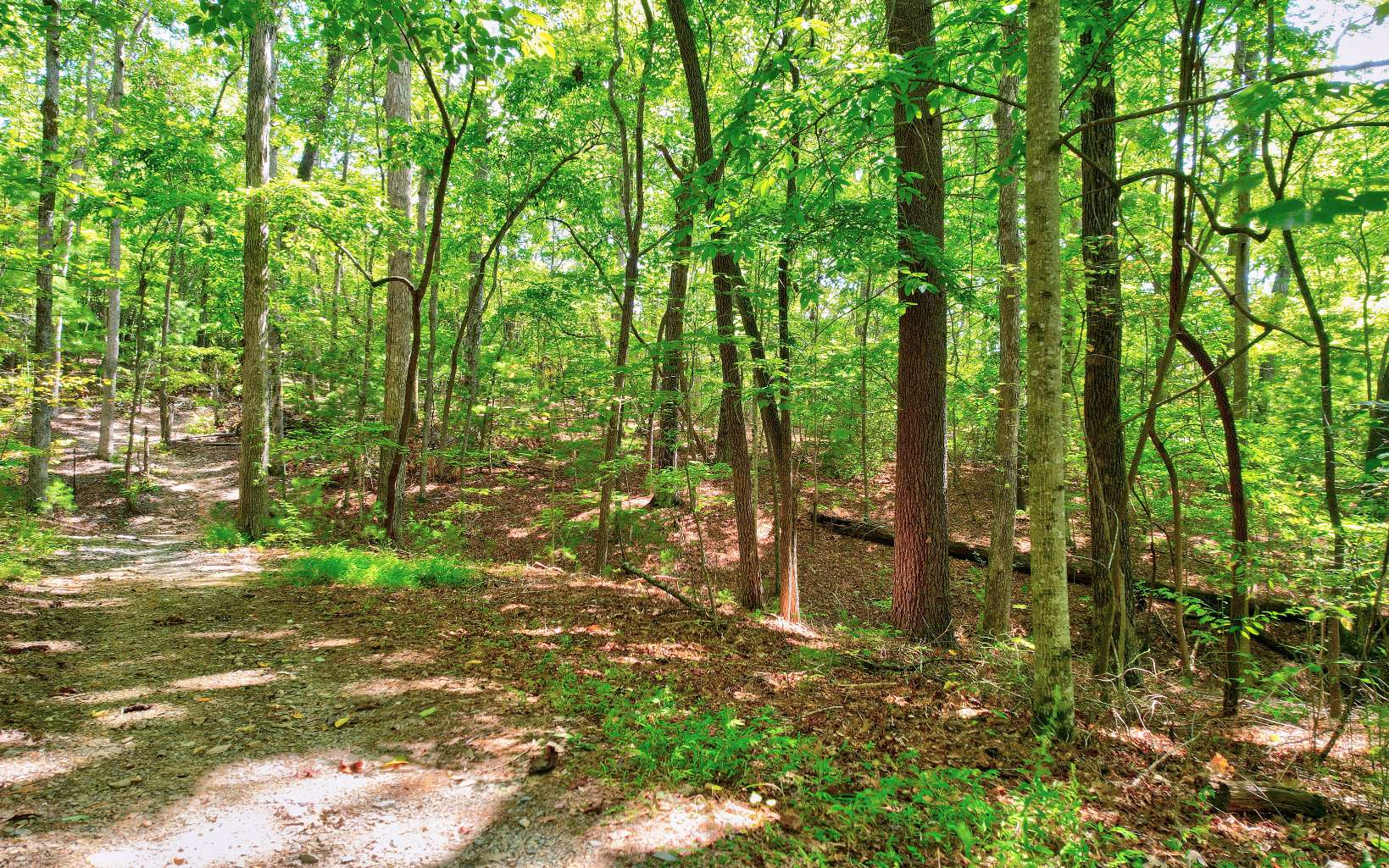 LOT 5 Garren Cove Trail