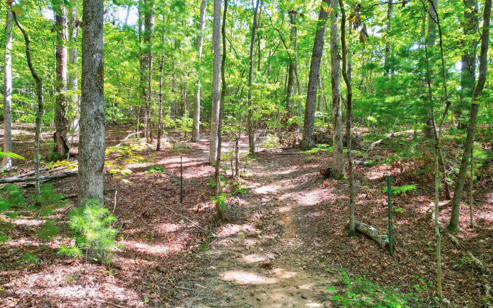 LOT 5 Garren Cove Trail