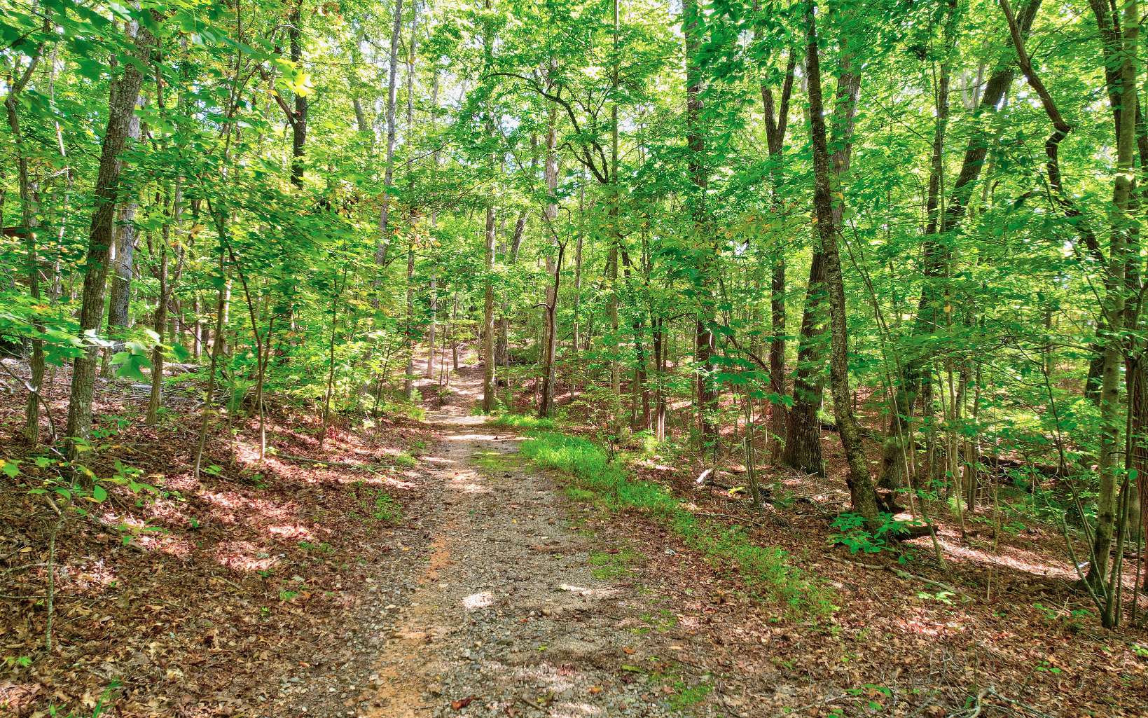 LOT 5 Garren Cove Trail