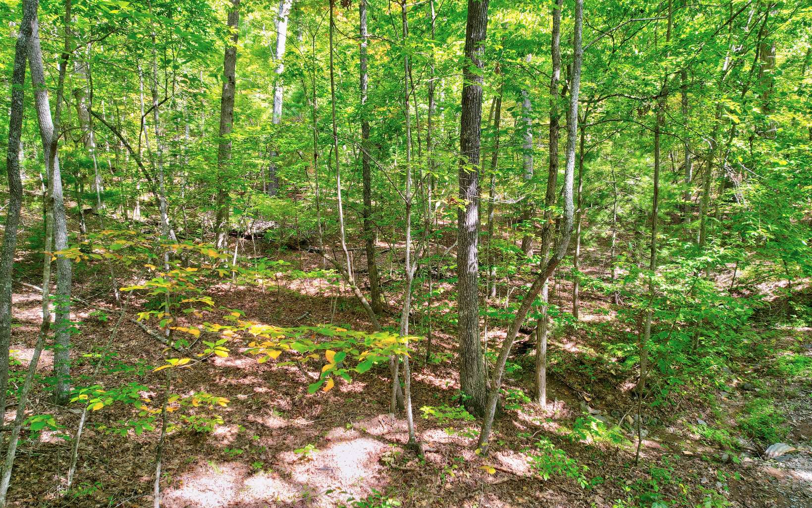 LOT 5 Garren Cove Trail
