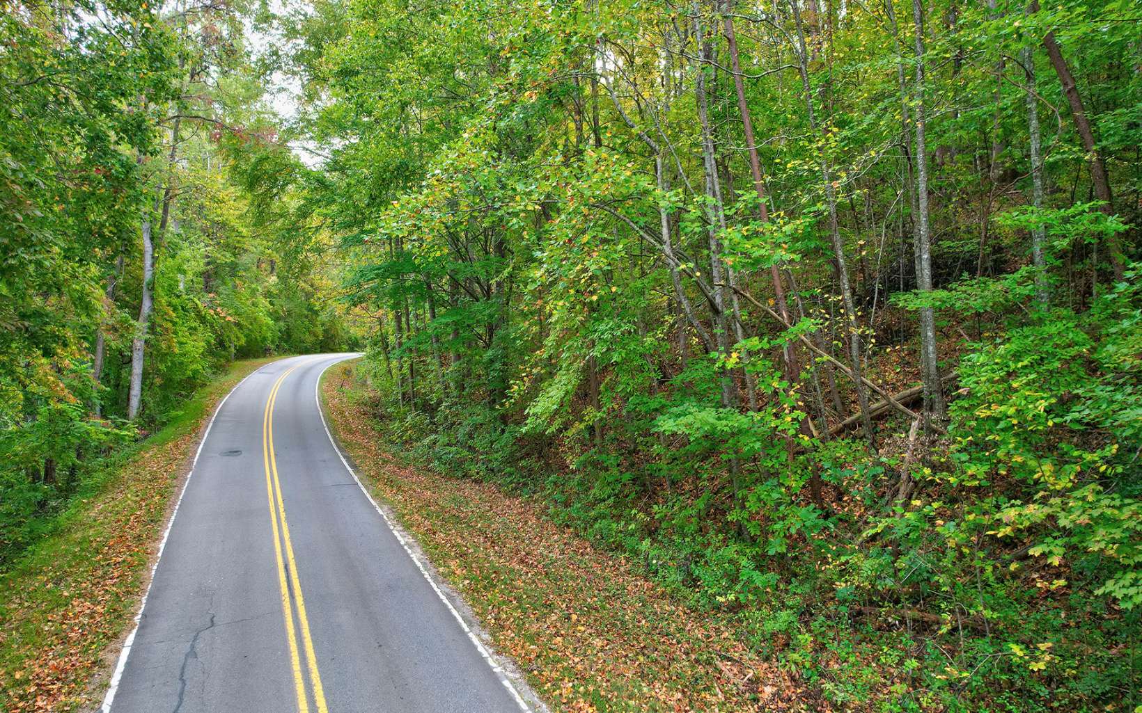 5.46 Upper Bell Creek Road