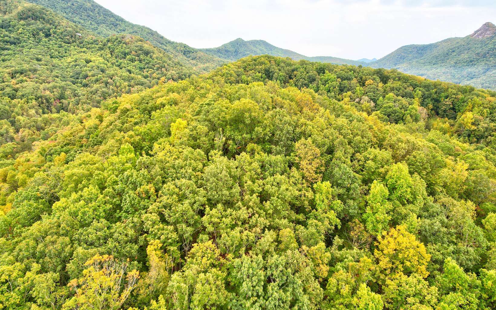 5.46 Upper Bell Creek Road