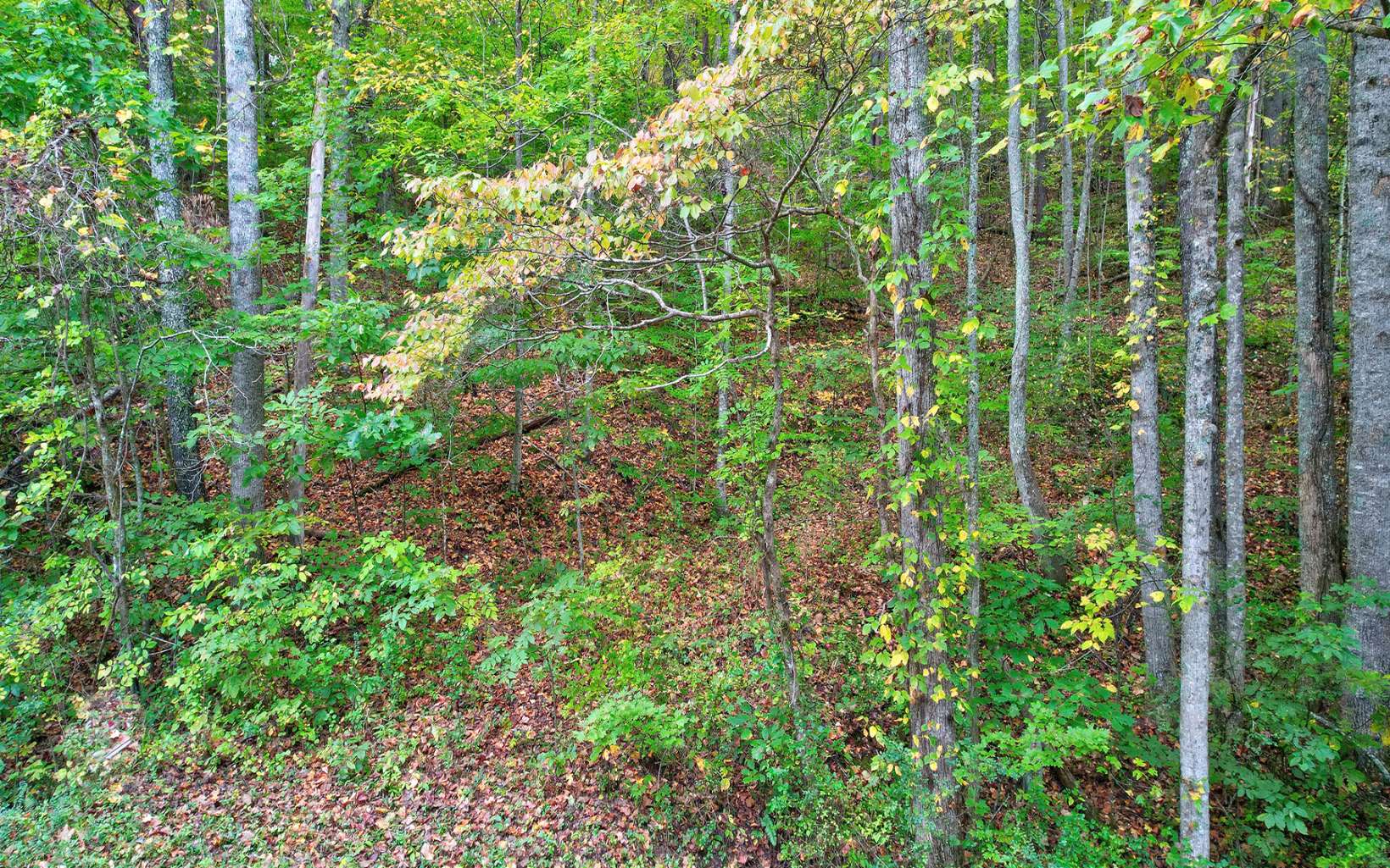 5.46 Upper Bell Creek Road