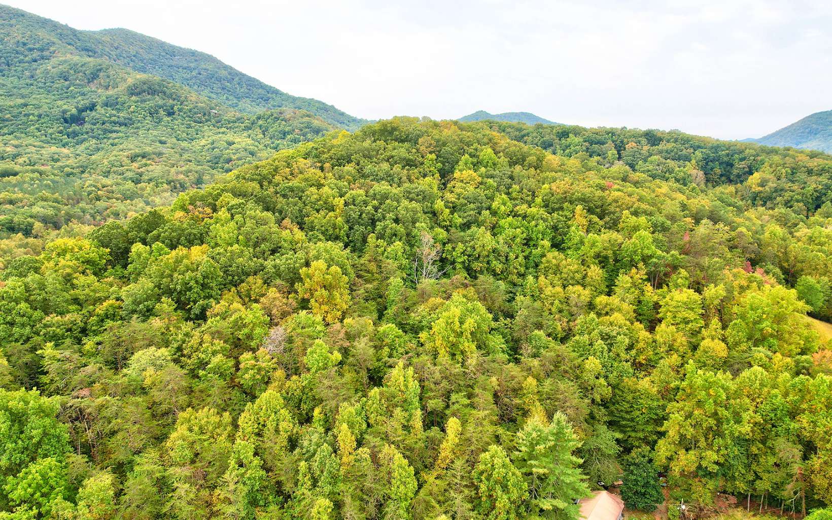 5.46 Upper Bell Creek Road