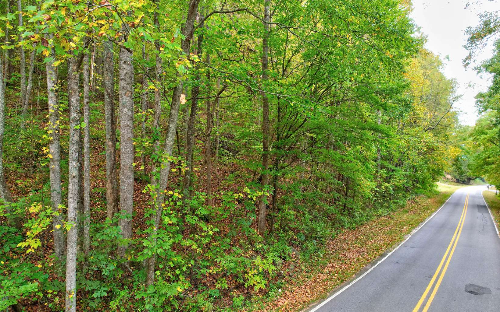 5.46 Upper Bell Creek Road