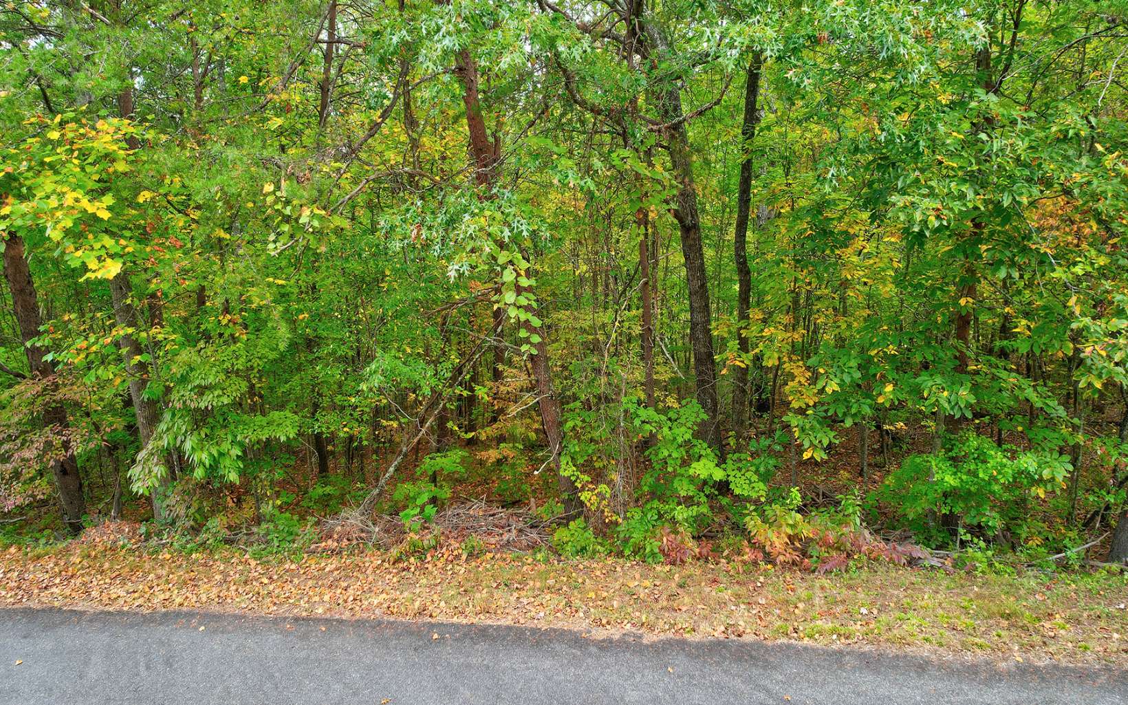 LT 90 Timberline Acres