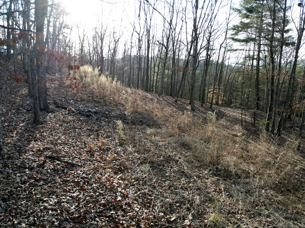 8 Acres Liberty Hill Road