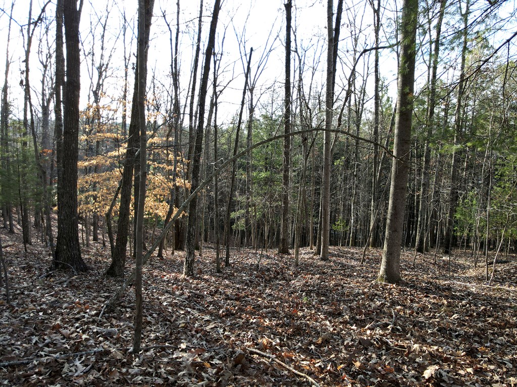 8 Acres Liberty Hill Road