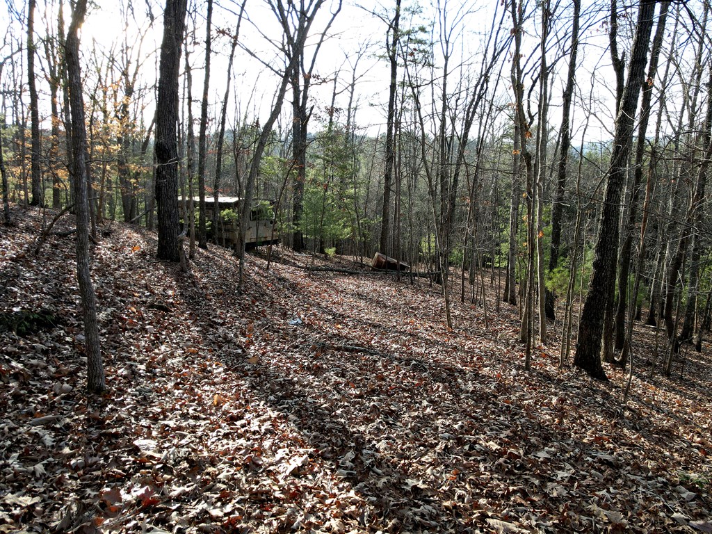 8 Acres Liberty Hill Road