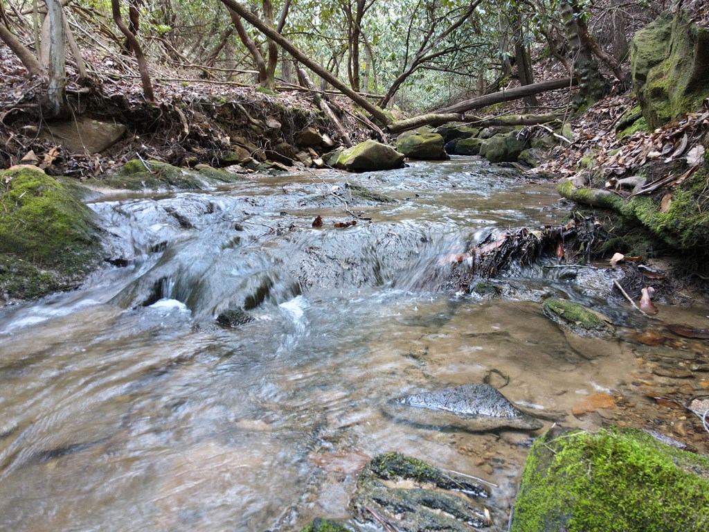 8 Acres Liberty Hill Road