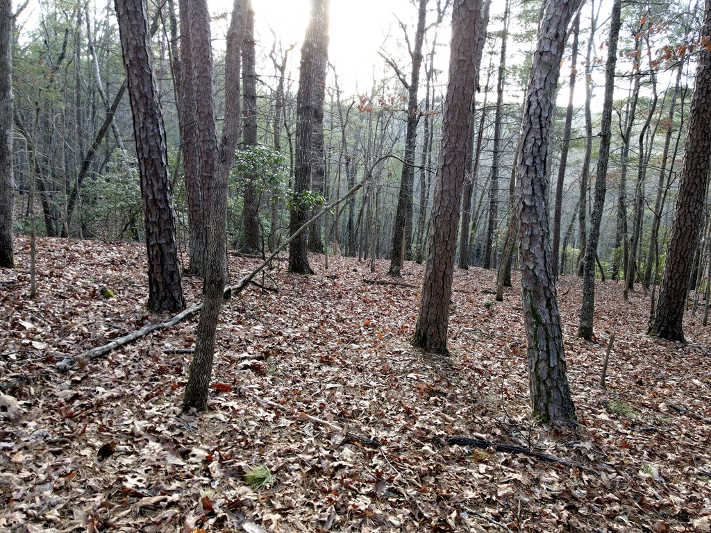 8 Acres Liberty Hill Road