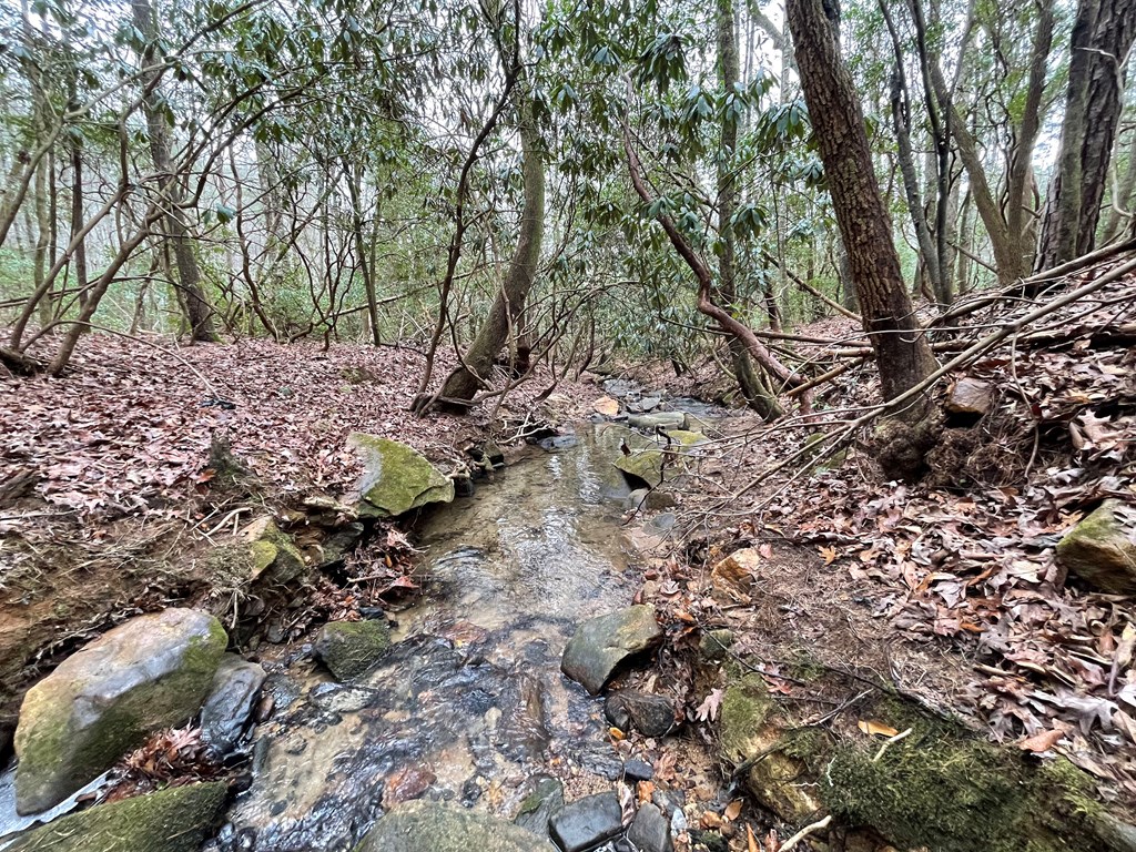 8 Acres Liberty Hill Road