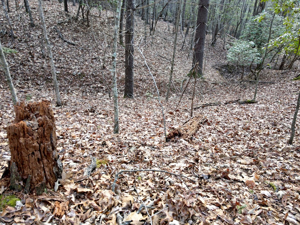 8 Acres Liberty Hill Road
