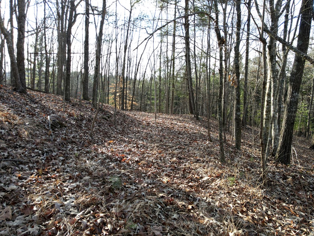 8 Acres Liberty Hill Road