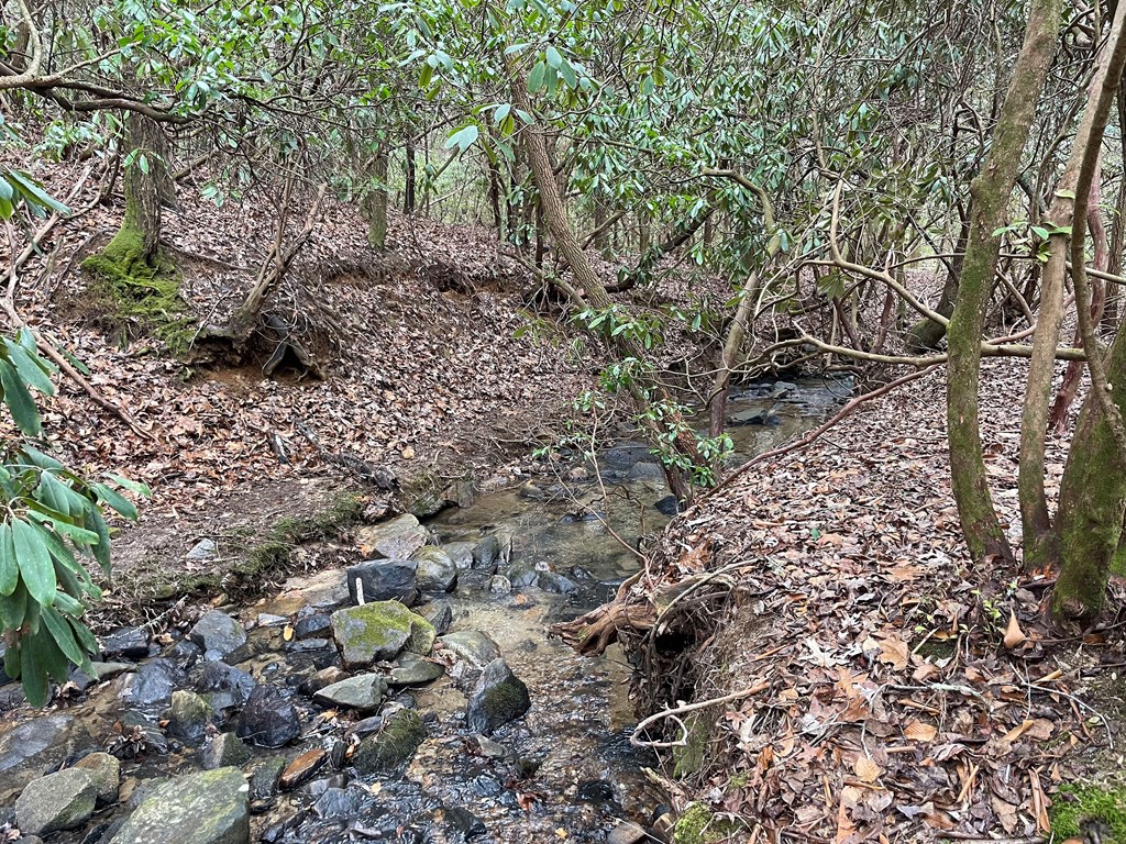 8 Acres Liberty Hill Road