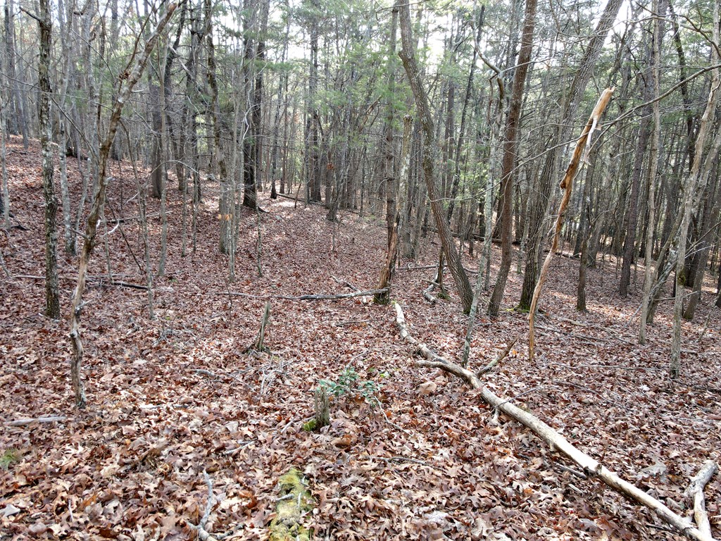 8 Acres Liberty Hill Road