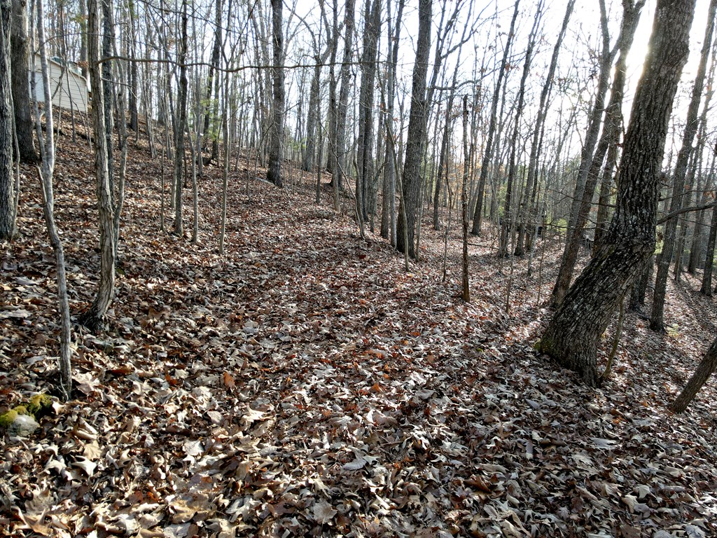 8 Acres Liberty Hill Road