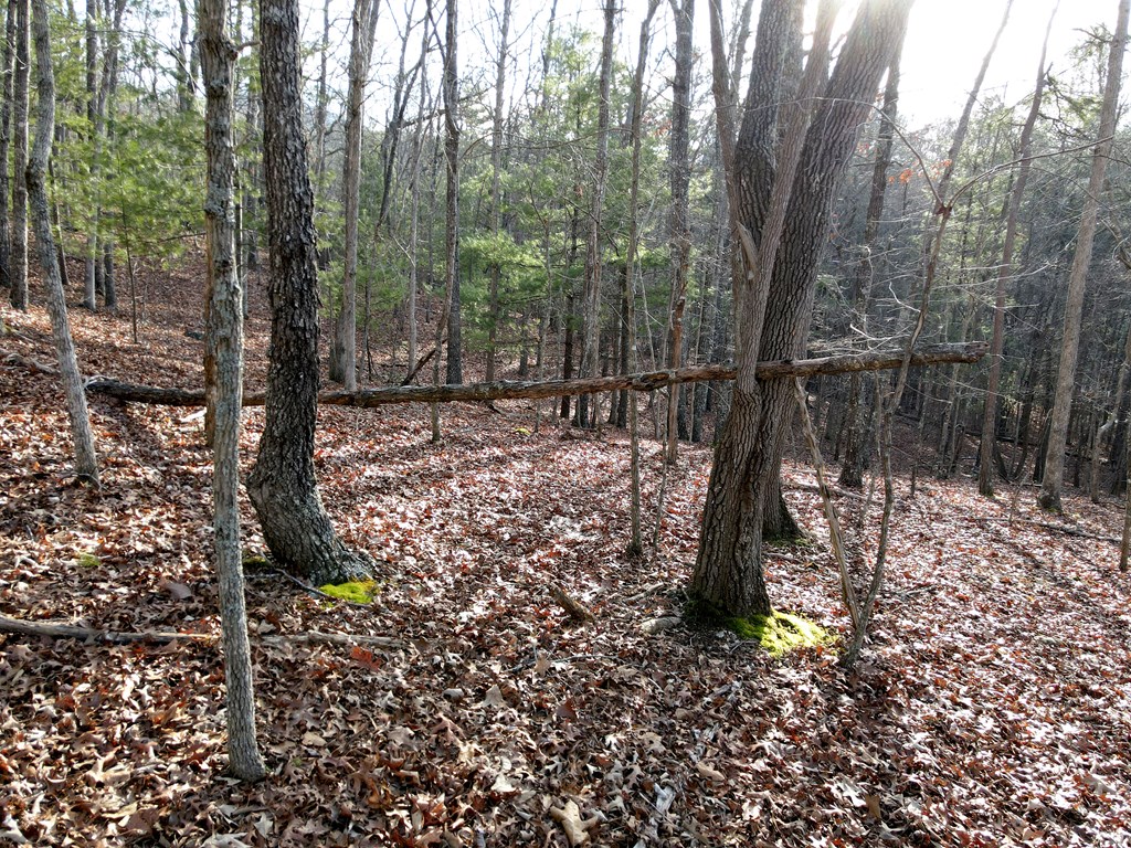 8 Acres Liberty Hill Road