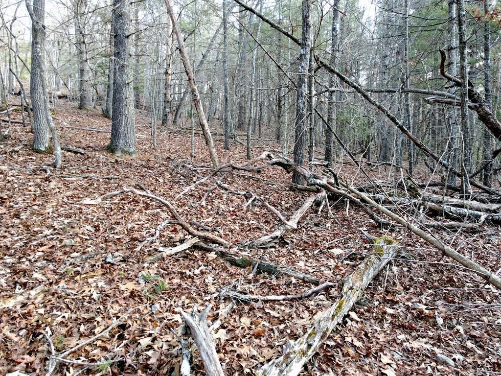 8 Acres Liberty Hill Road
