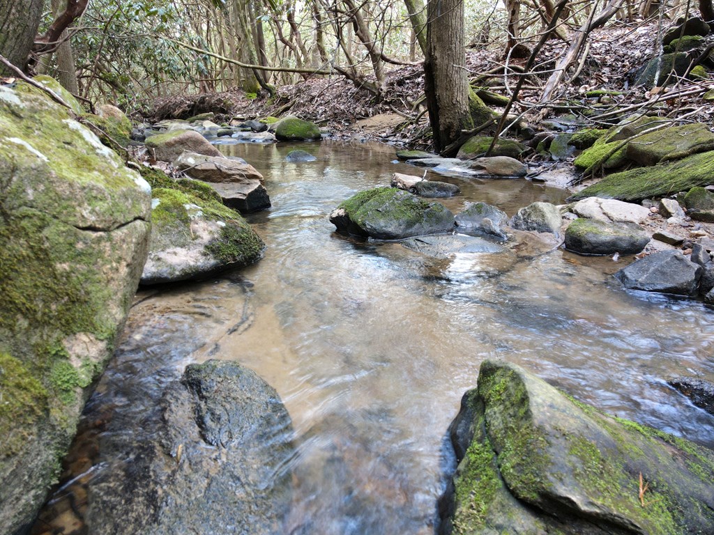 8 Acres Liberty Hill Road