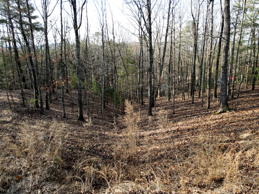 8 Acres Liberty Hill Road