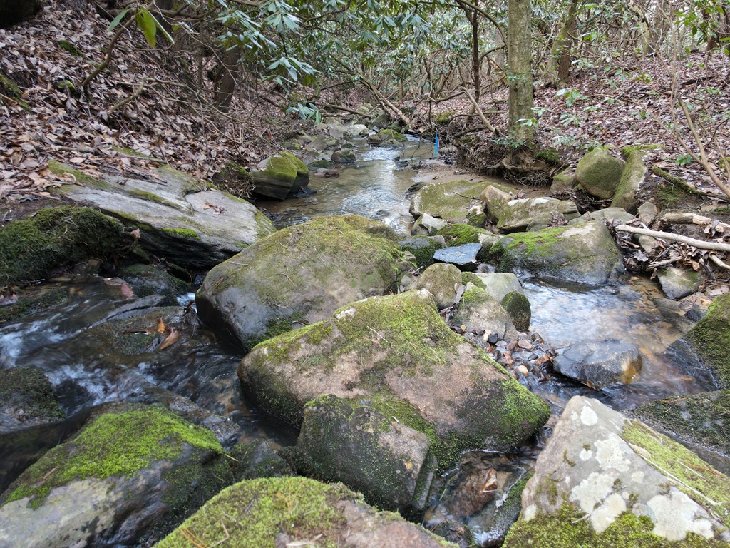 8 Acres Liberty Hill Road