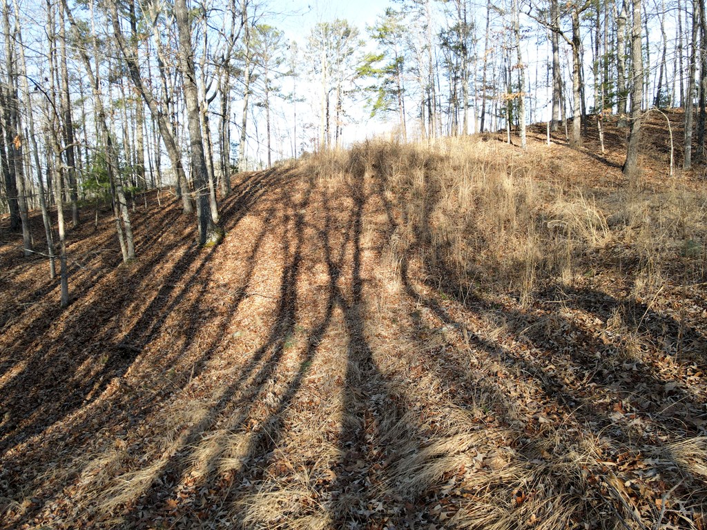 8 Acres Liberty Hill Road
