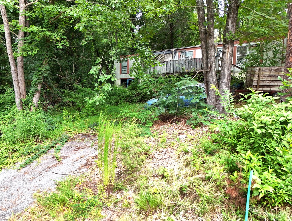 13 Lots Buck Gibson Circle