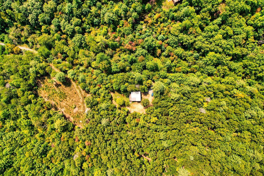 324 Copperhead Trail