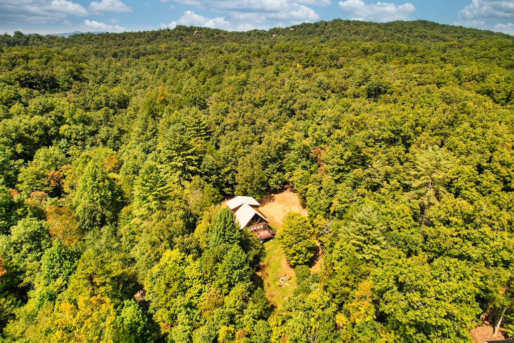 324 Copperhead Trail