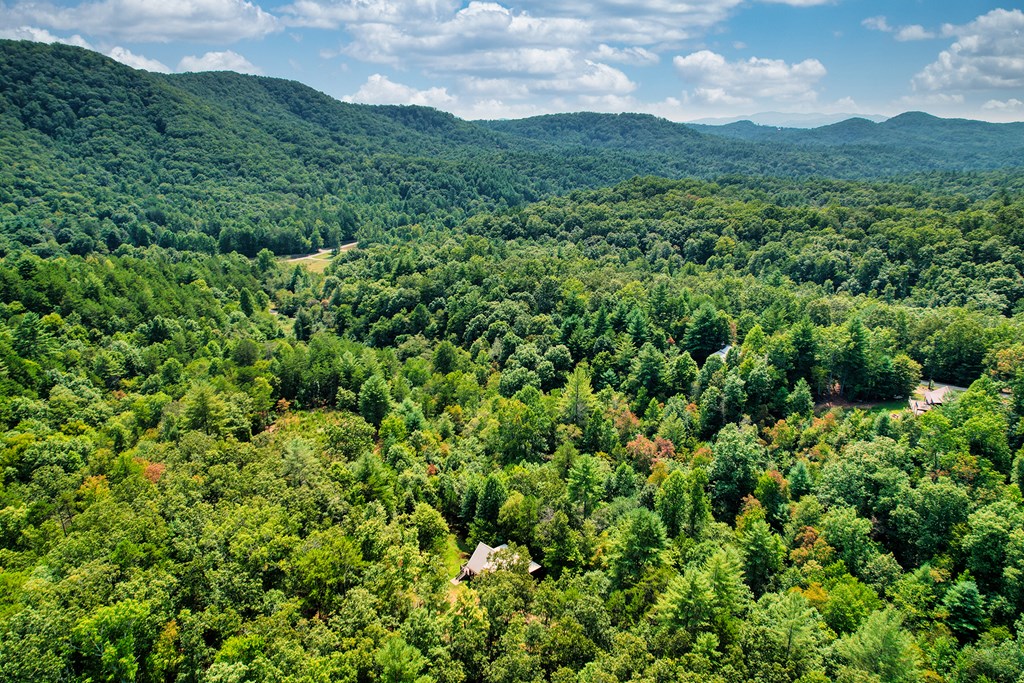 324 Copperhead Trail
