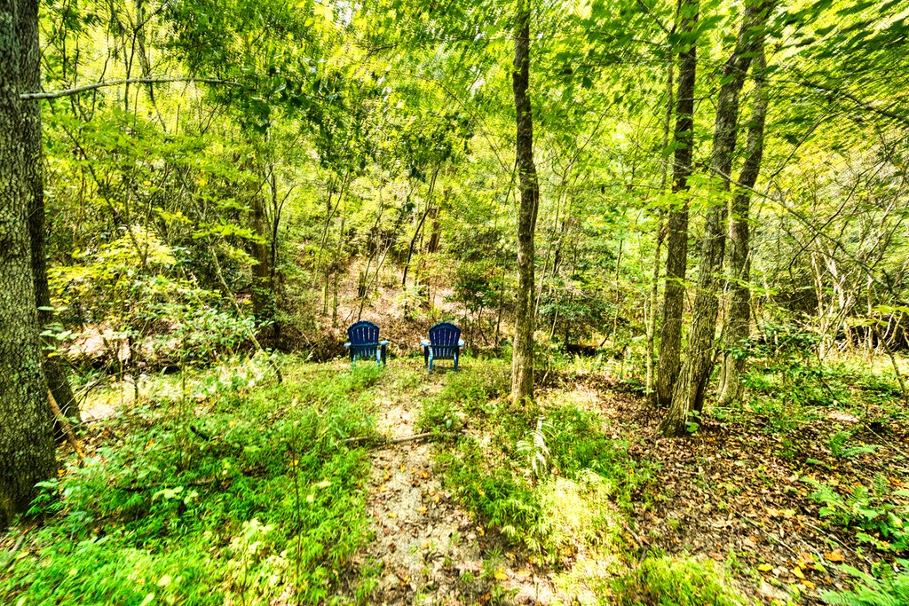 324 Copperhead Trail