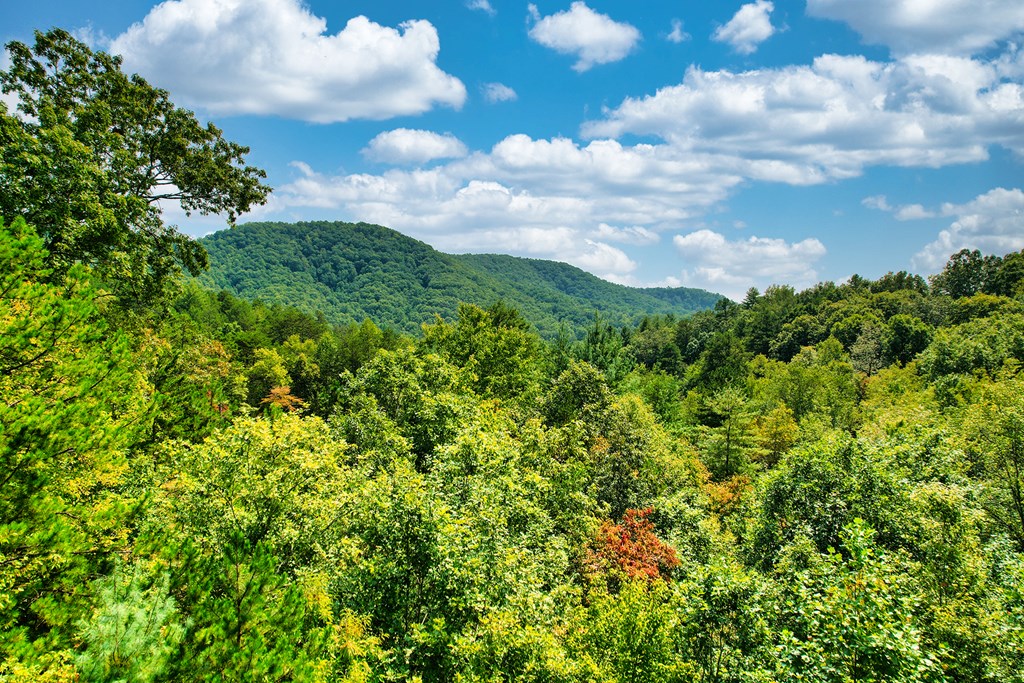 324 Copperhead Trail