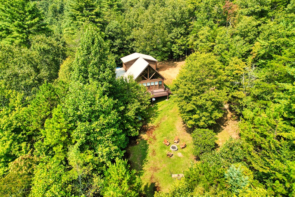 324 Copperhead Trail