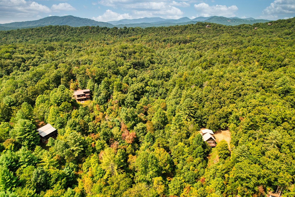 324 Copperhead Trail