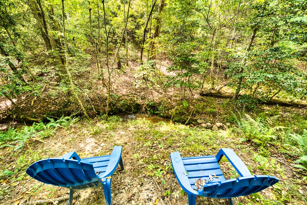 324 Copperhead Trail