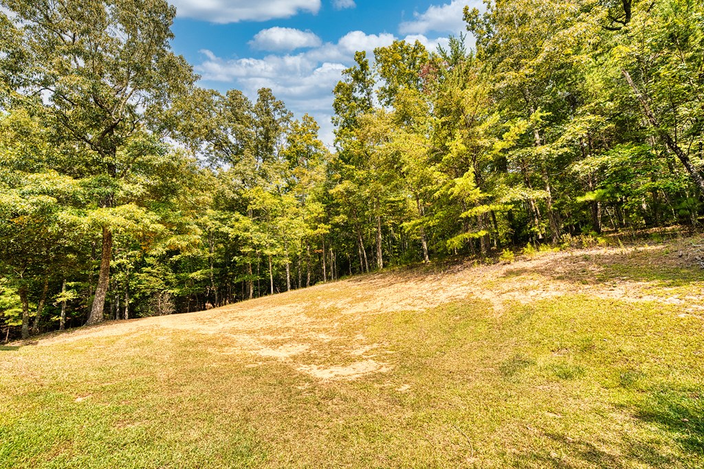324 Copperhead Trail