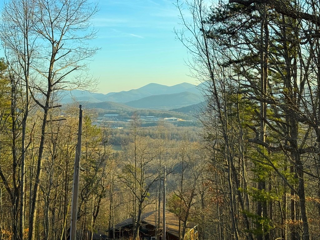 310 Kellie Drive Ii