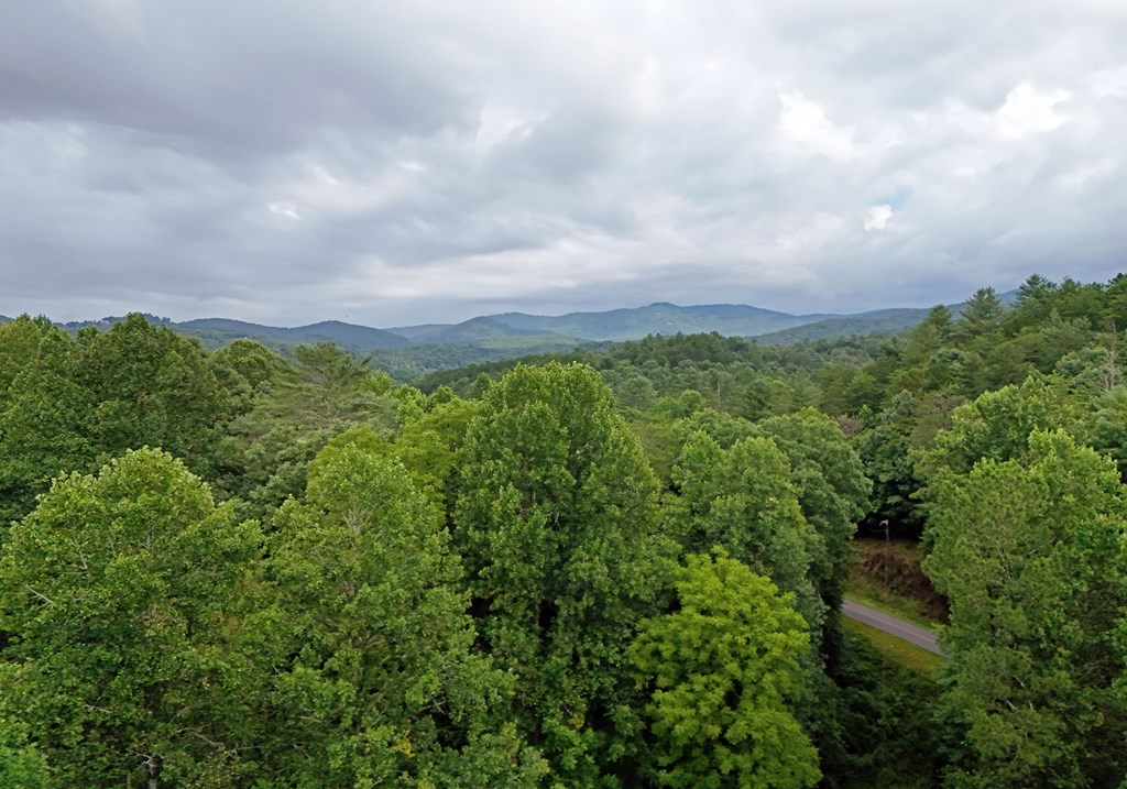 45 Knollwood Trace